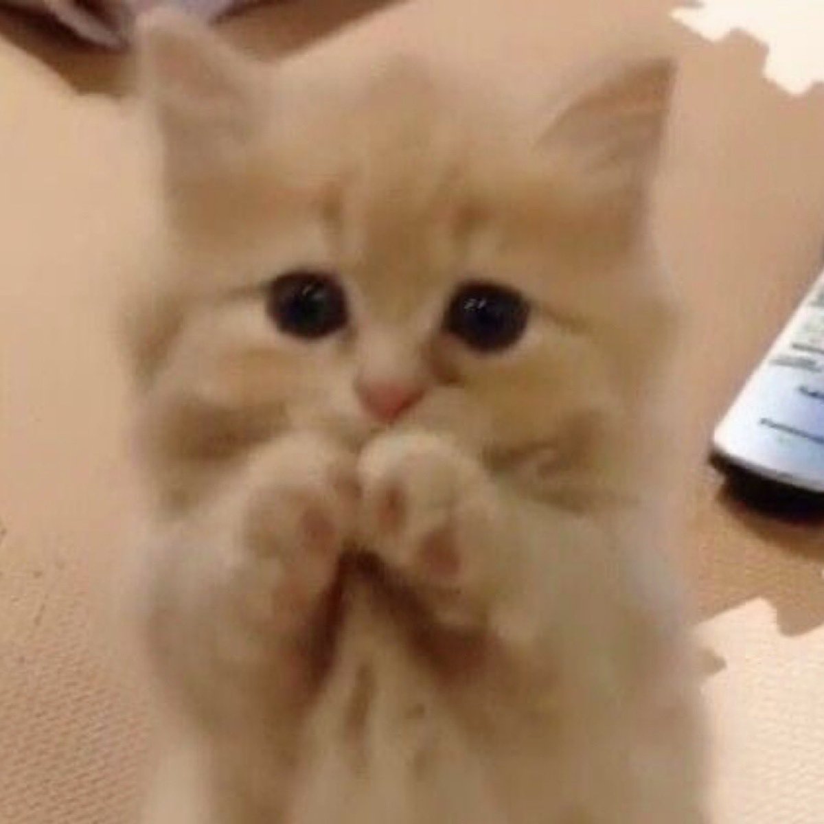 มู่ ♡ tweet media