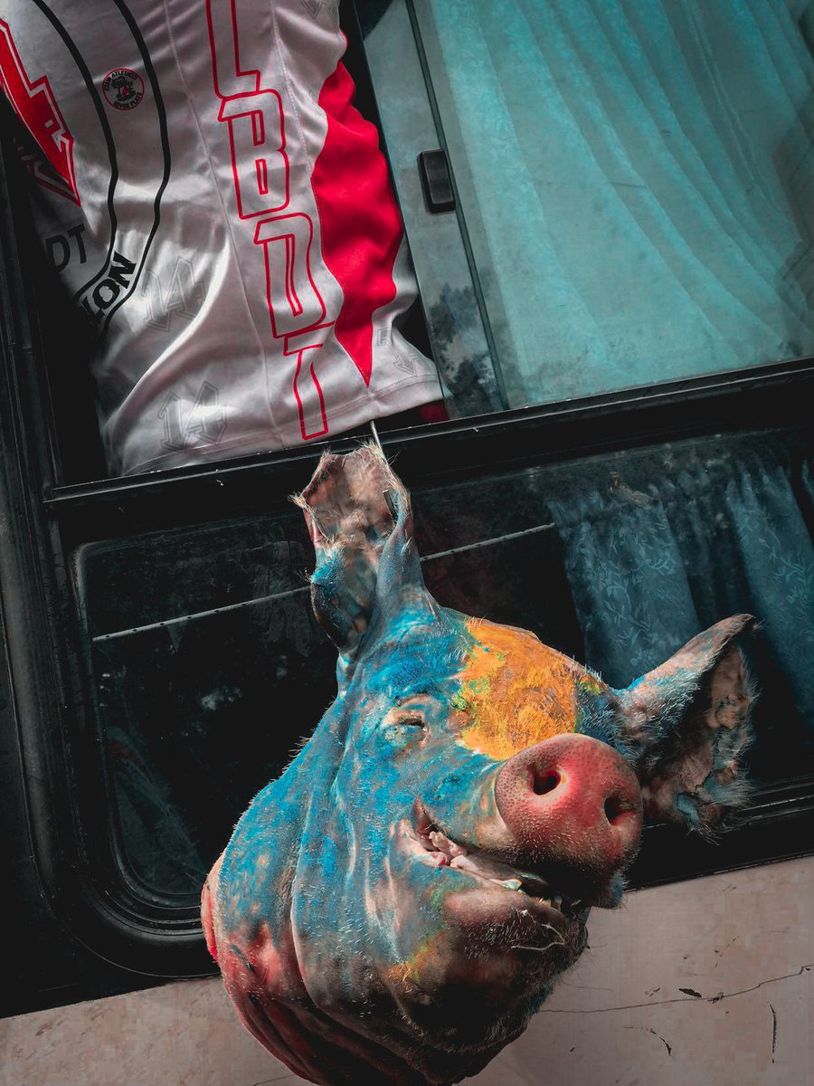🔪🐷
