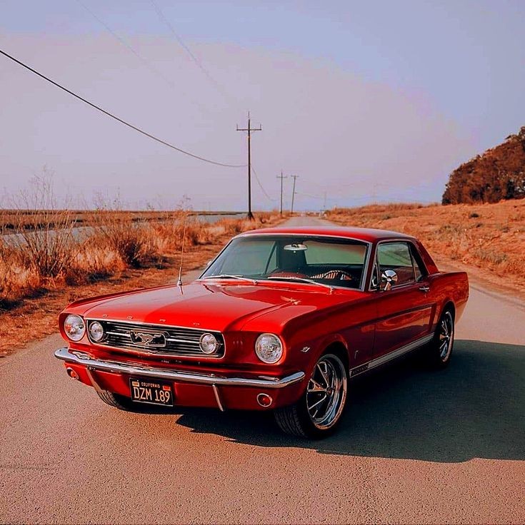 Kat_Adams55's tweet photo. Did you know that on April 17, 1964, the Ford Mustang was formally introduced to the public? It was less than $3,000, I wish it was still that affordable! 
#COM309 https://t.co/R7LnX7XKlT