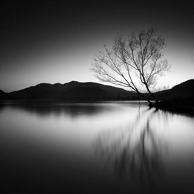 'All great and precious things are lonely.' John Steinbeck / East of Eden 📷Pierre Pellegrini