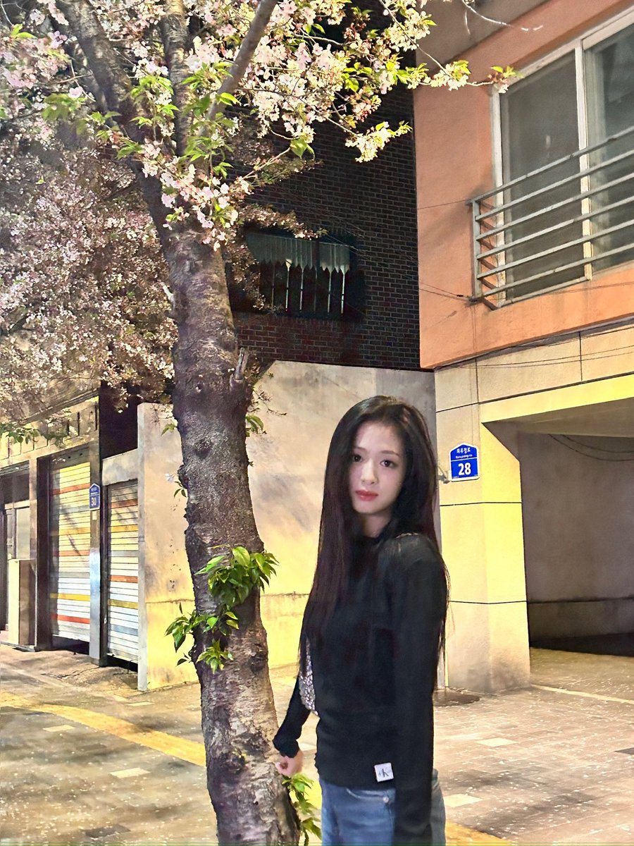 picbaemon's tweet photo. AHYEON WEVERSE UPDATE https://t.co/Q5wsGQkuUe