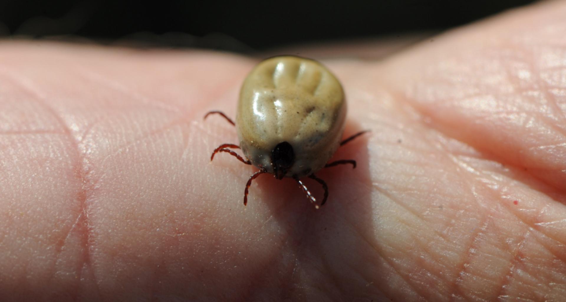 Foto cedida por Vecinos por Algete