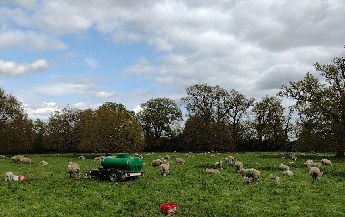 The ladies had a birthday card for Rob bless them. We just had a walk to see the lambs. Birthday cake in a minute. Rob says thank you for all your lovely messages and greetings. You're a lovely lot.