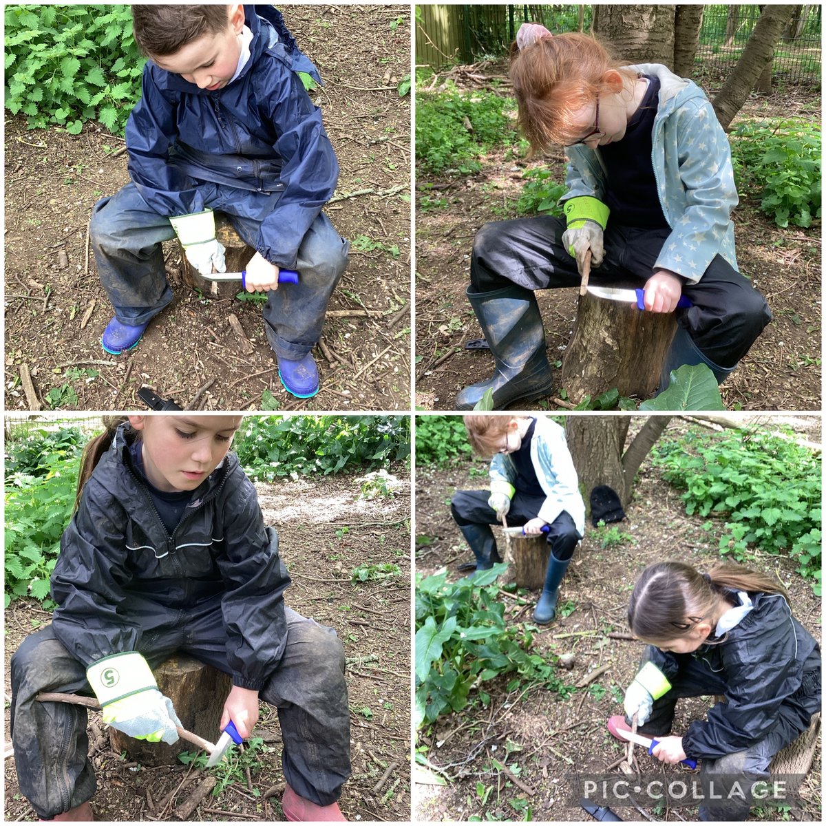 OWPS_forestschool tweet media