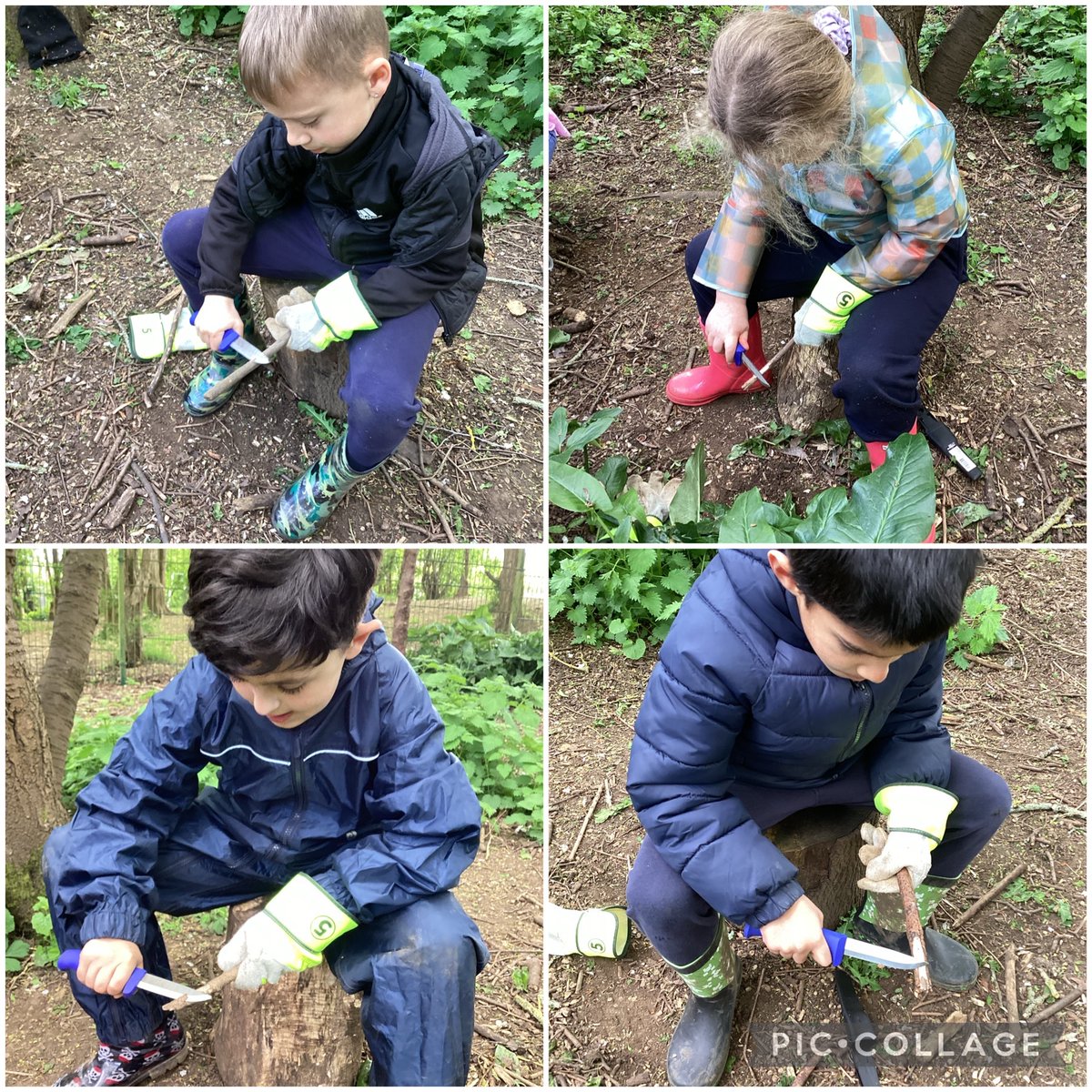 OWPS_forestschool tweet media
