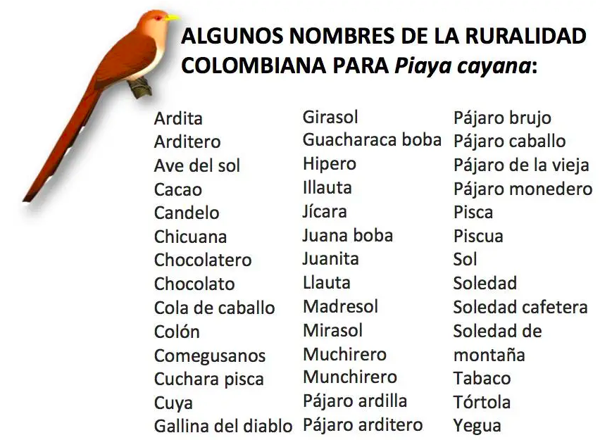 Andrés Cuervo | amcuervo.bsky.social tweet media