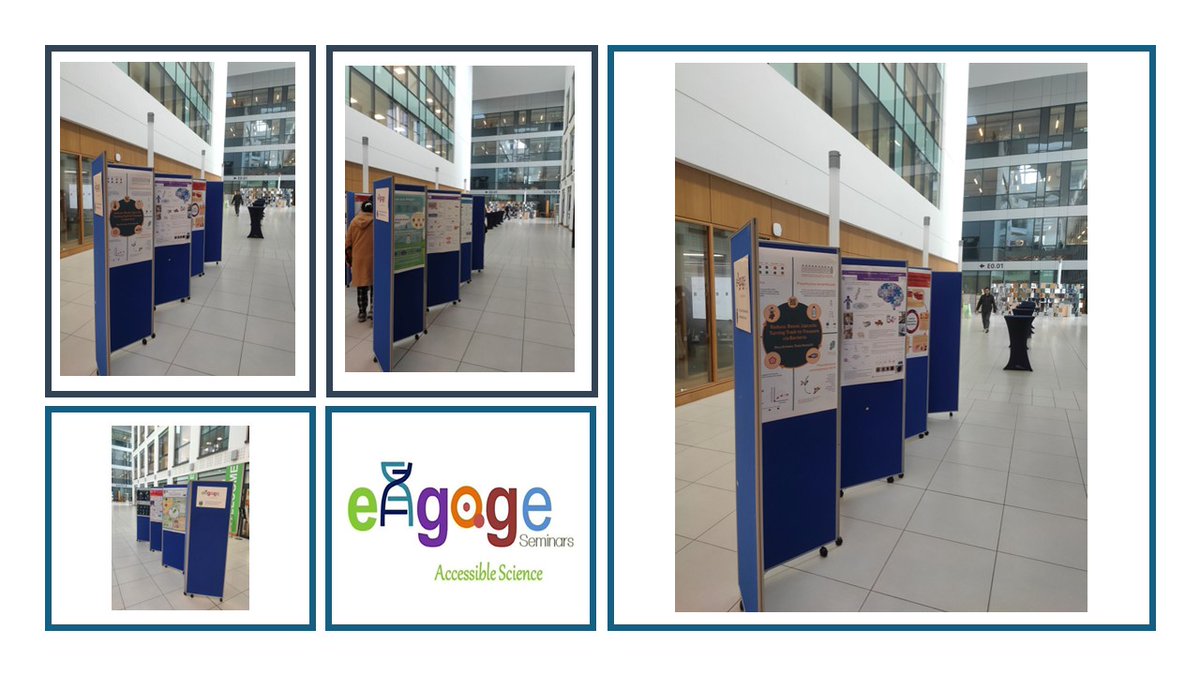 Congrats to all our #PhD students presenting their Scientific Research Posters at #UCDENGAGE #AccessibleScience event. Our audience votes for Best Poster Presentation. Register your vote in foyer Science Centre @ucddublin @ucdscience Join us at 5pm⬇️ ucd.ie/sbbs/newsandev…