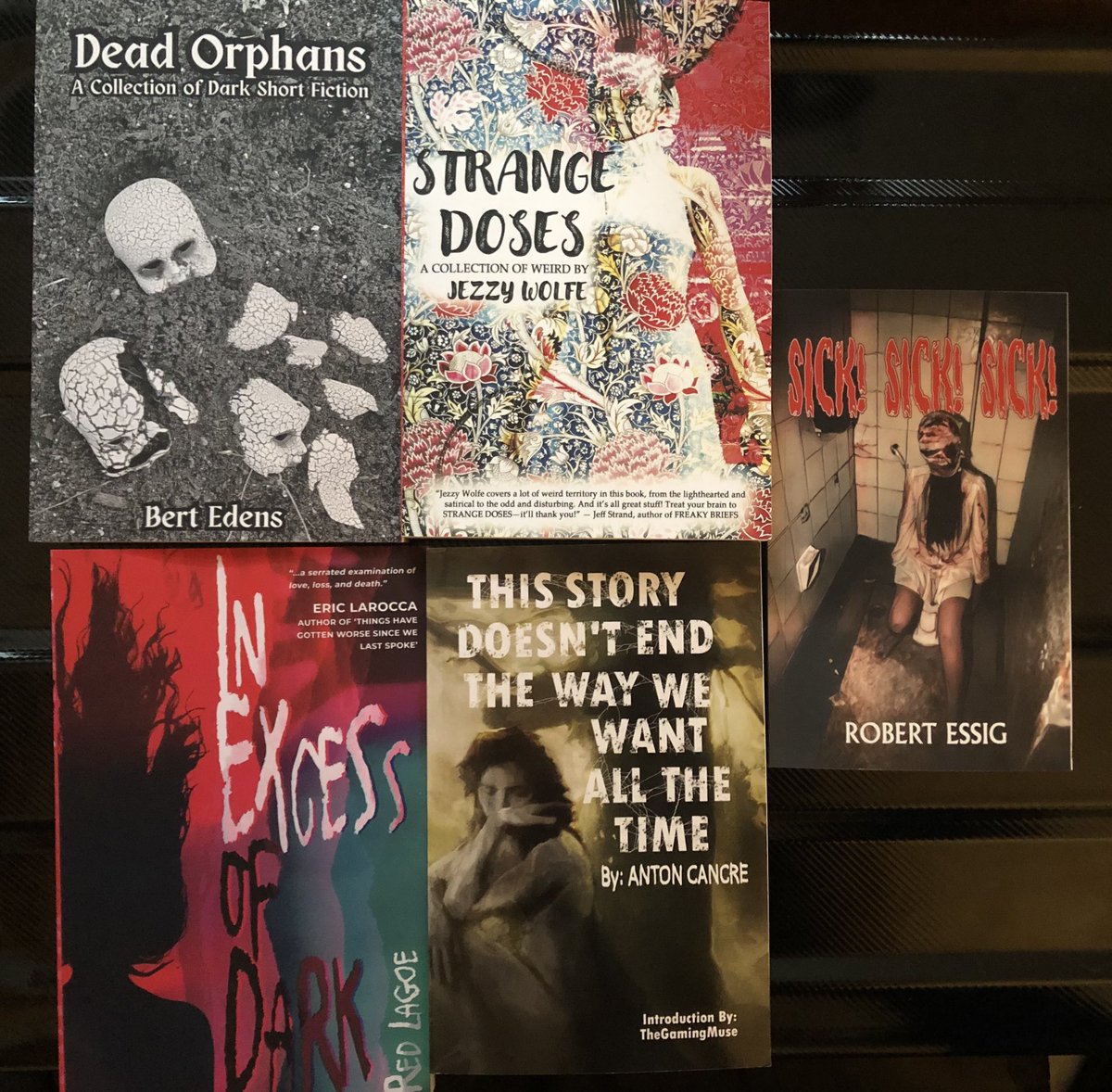AuthorCon III book haul.

We also secured a copy of The Day of the Door by Laurel Hightower for Carrie, not pictured here because she is currently reading it.

#authorcon #scaresthatcare #fightrealmonsters
