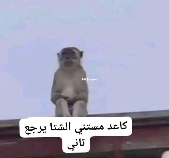 egymeme11's tweet photo. https://t.co/3fUzzqI6EQ