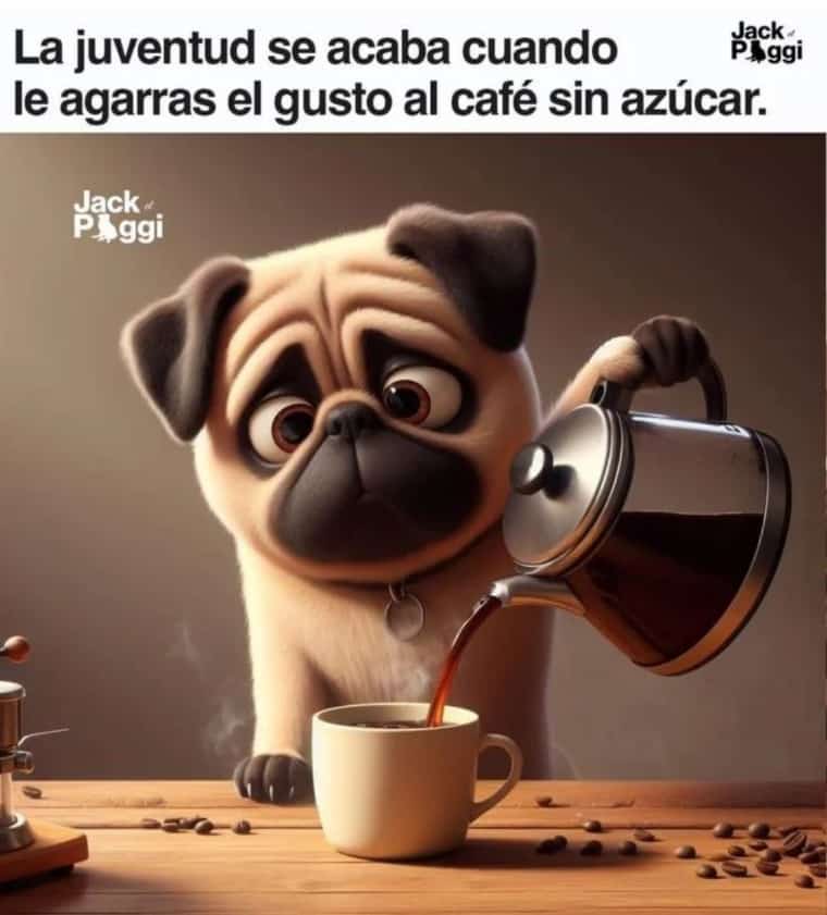 oguesa58's tweet photo. @Flaviapalago Jaja 😂 es broma mi ingeniera https://t.co/KJiIxItQp6