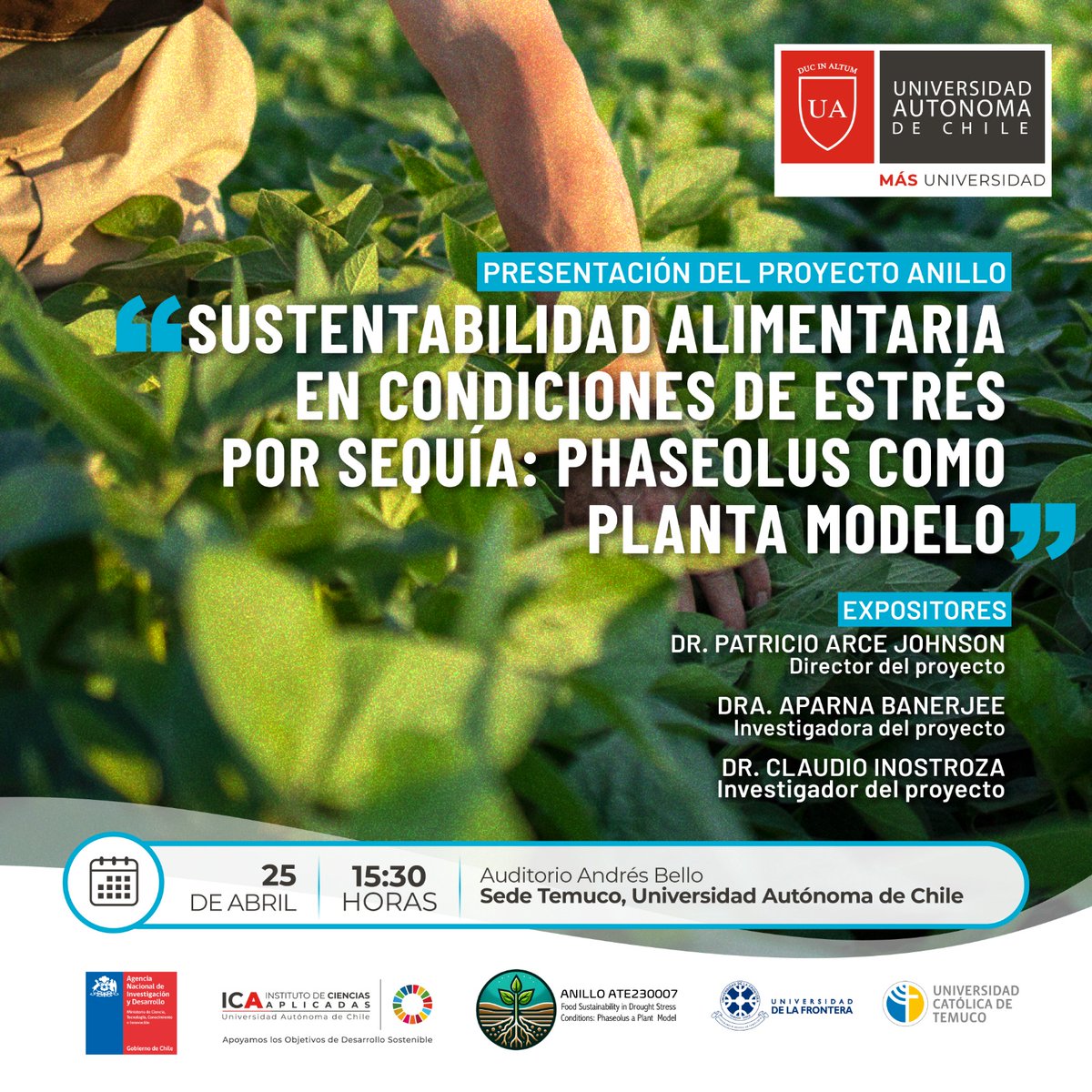 Vicerrectoría de Investigación y Doctorados UA tweet media