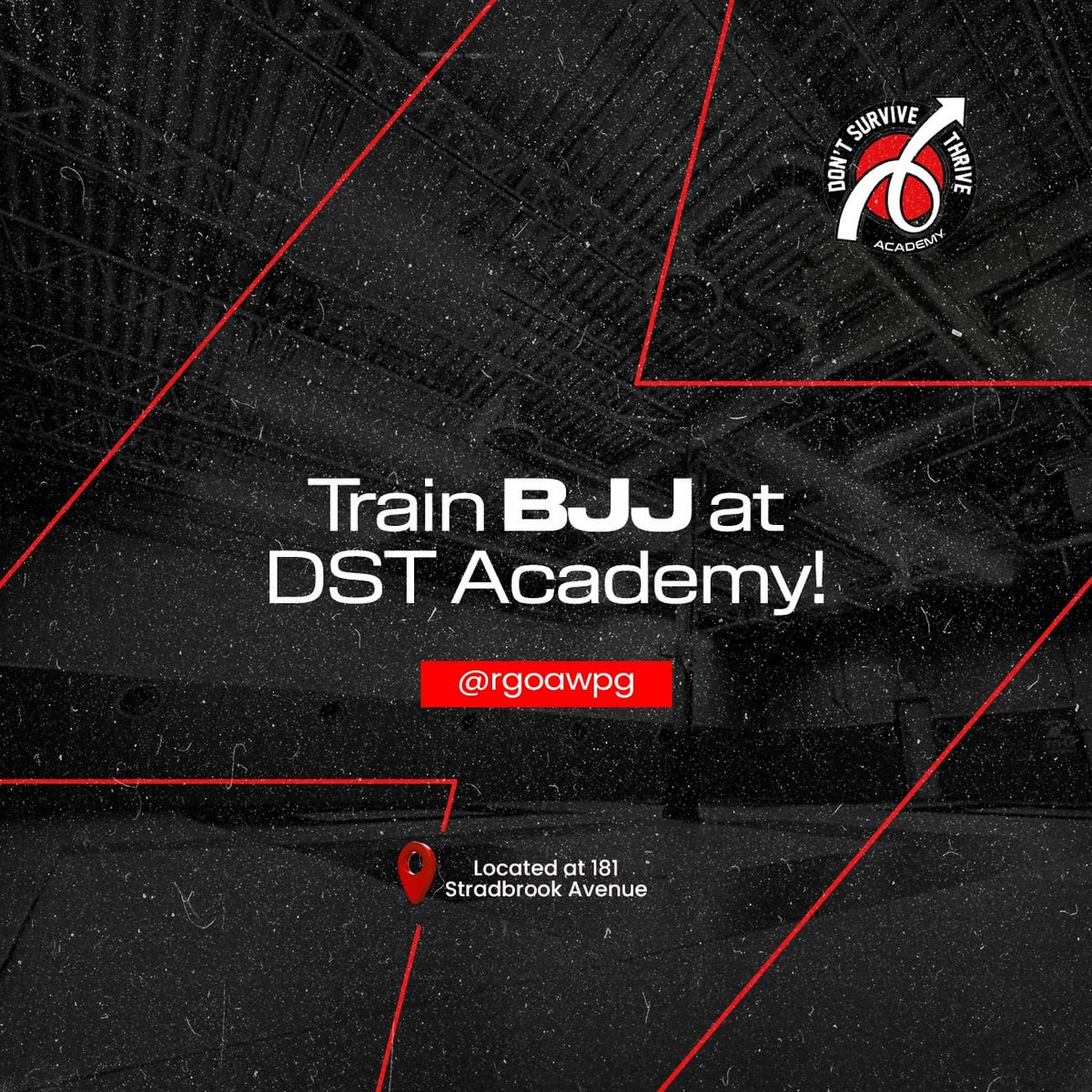 Train BJJ! #oama #brazilianjiujitsu