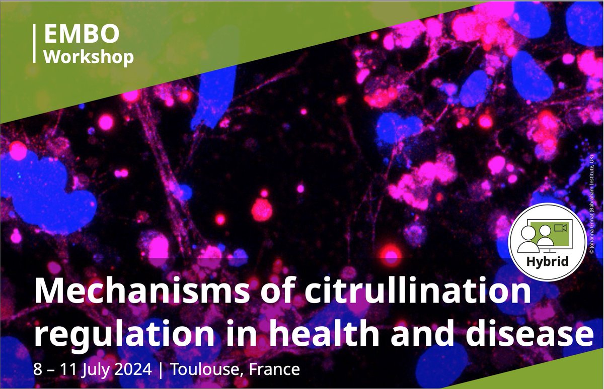 We are delighted to invite you to #EMBOcitrullination 
<a href="/EMBOevents/">EMBO Events</a>  

Come for the lovely weather, wine tasting and boat trip, stay for the immersive discussions on #citrullination

Childcare grants available!

meetings.embo.org/event/24-citru…