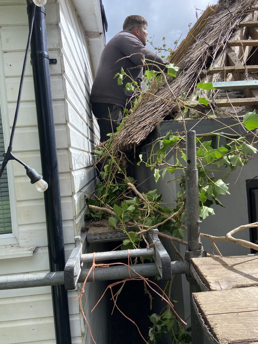 When the client builds a shed next to his existing #Thatched garage…What do you mean Andy.. it’s a bit narrow to get the new thatch eave on? Just breathe in a bit! #Thatching.