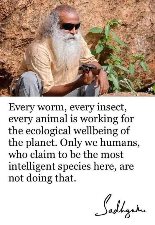 AmericanIndian8's tweet photo. #INDIGENOUS #TAIRP https://t.co/7JAlfthIiz