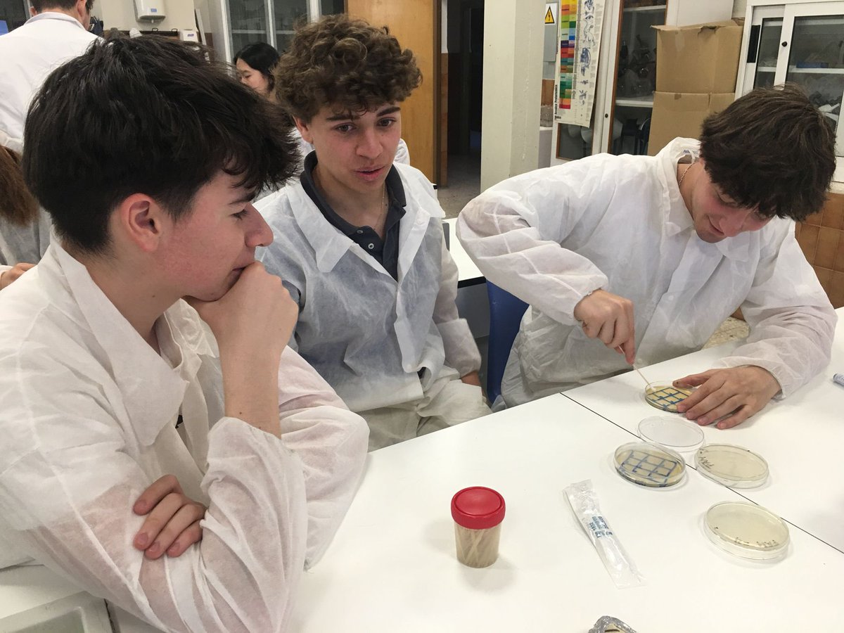 Los biólogos de #primerodebachillerato participan en unas prácticas de resistencia a antibióticos, con la Facultad de Farmacia UCM. #ProyectoMicromundo #investigacion