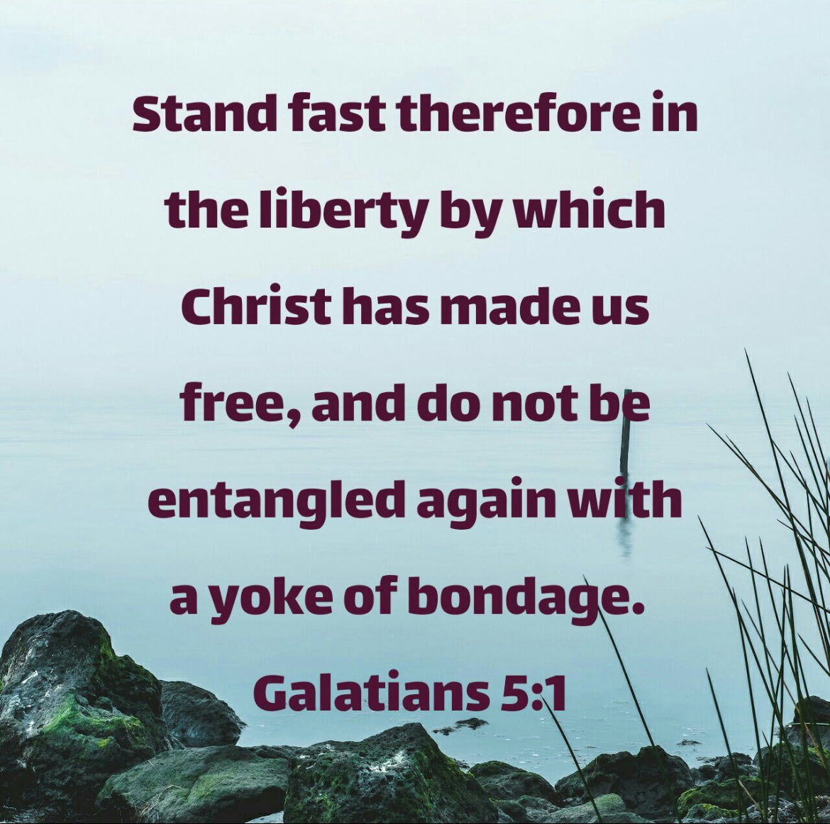 #Liberty #Christ #Free #Scripture #Bible #Church #Calvary #CalvaryChapel #CalvaryChapelSahuarita #CalvaryChapelOfSahuarita #CCOS