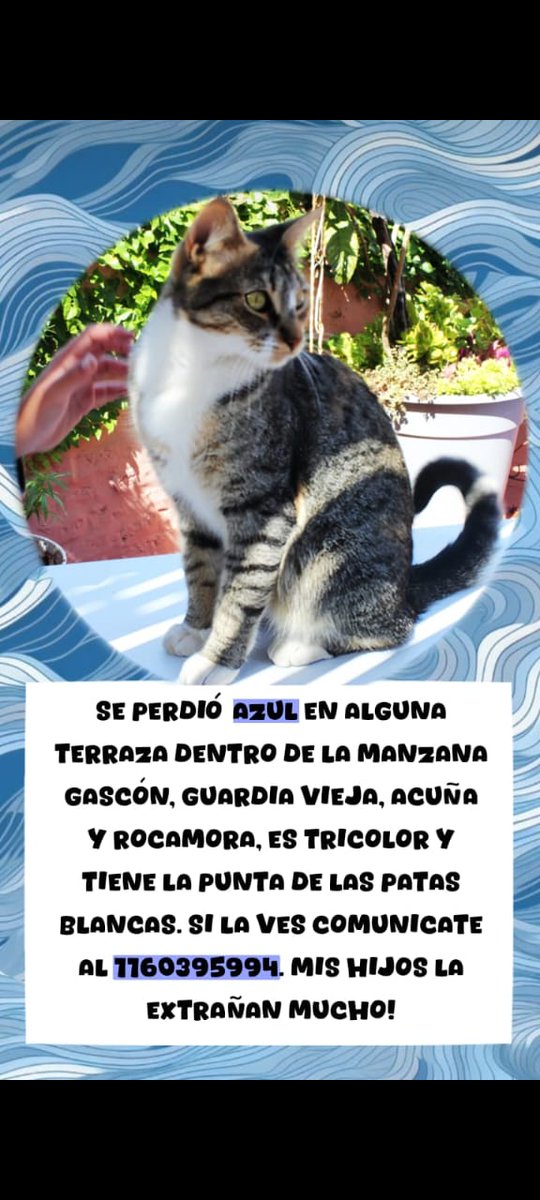Fabinjoseandre1's tweet photo. Se agradece difusión. Gracias https://t.co/PY6Sa2MN0y