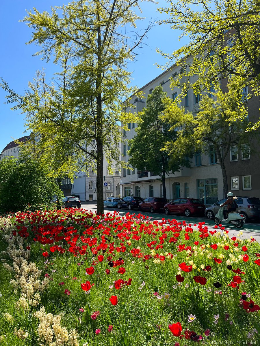 Spring is blossoming all around the city! 🌱🌷 #visitberlin #Berlin #April