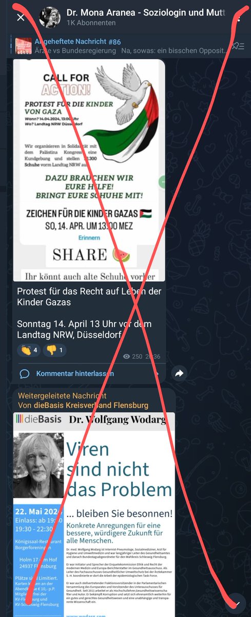 Die angeblich so #Friedensbewegten haben am 12.04.2024 versucht ihren #PalässtinaKongress durchzuführen. Wie erwartet war es ein Treffen internationaler #Judenhasser:Innen. Beworben durch die #Judenhass verbreitende #MonaAranea vom extrem rechten Netzwerk #FriedensbündnisNRW.