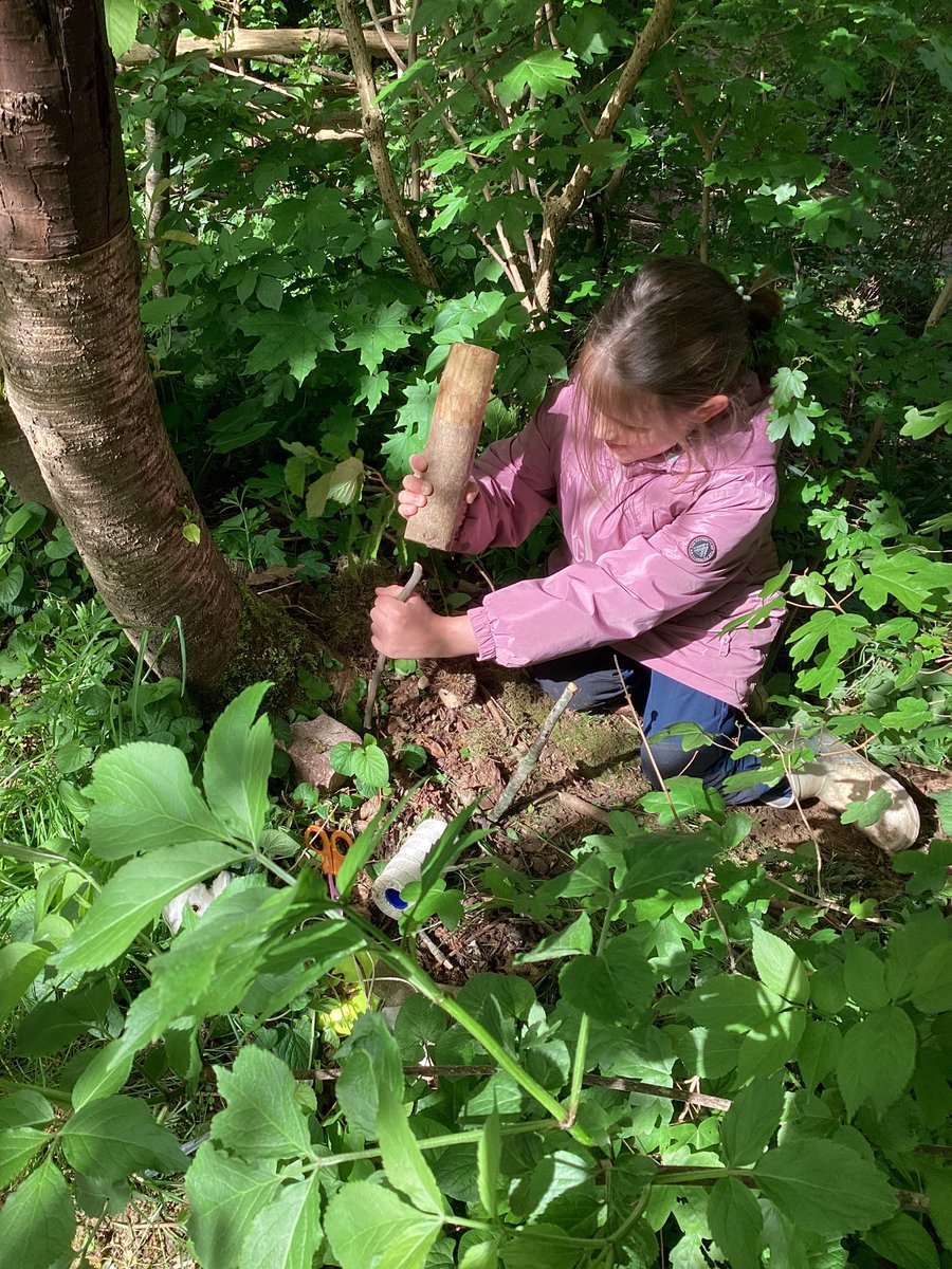 OWPS_forestschool tweet media