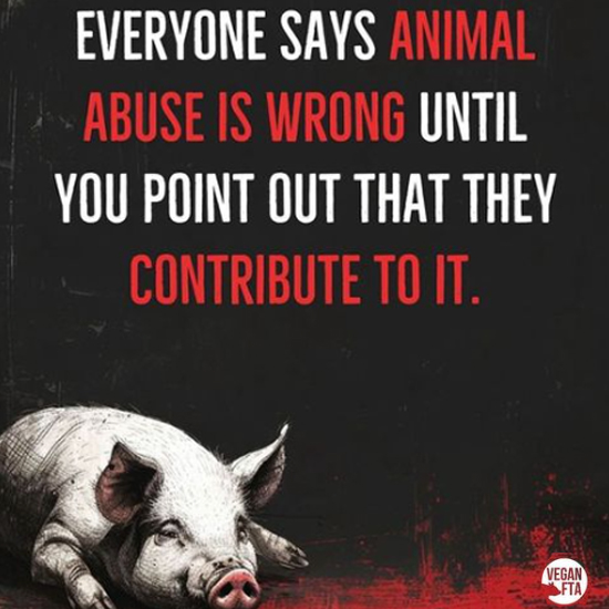 Are you against animal abuse? 👀🐷⁠
⁠
Do you practice what you preach? 🌱⁠

#WednesdayWisdom #StopAnimalAbuse #StopEatingAnimals #GoVegan #MakeTheConnection