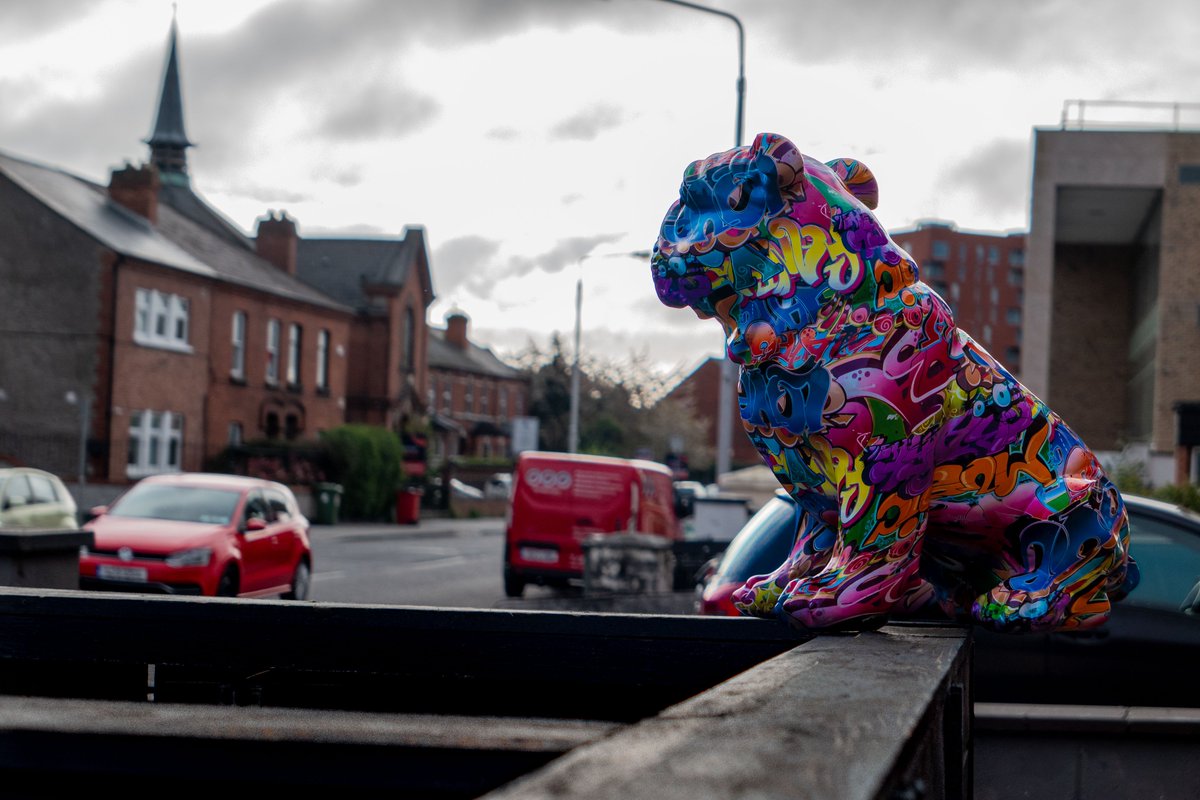 Yesterday I wasn't going to take my camera out and I'm happy I decided to take it with me instead. I would have missed this shot of this lovely statue of a graffiti dog while out and about. Lesson learned always take your camera with you when going out!! #photography #dublin