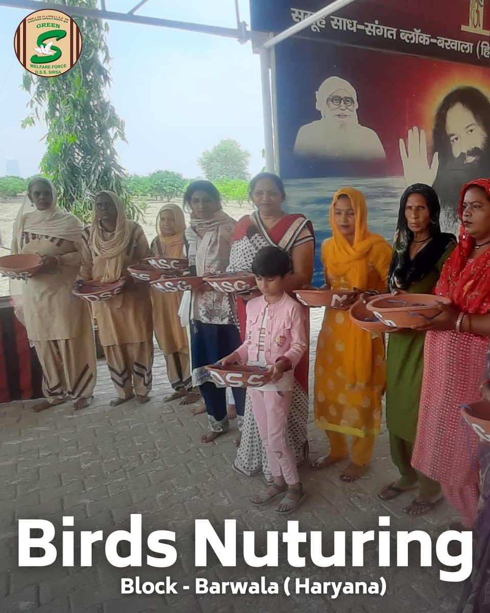 GreenSwelfares's tweet photo. In the scorching🌞summer, The compassionate volunteers of Shah Satnam Ji Green 'S' Welfare force Wing are a beacon of hope for our feathered🦜friends! They're ensuring no bird goes thirsty or hungry by diligently providing water and feed. A heartfelt salute to their selflessness and empathy! #DeraSachaSauda  #SummerKindness #BirdsNurturing