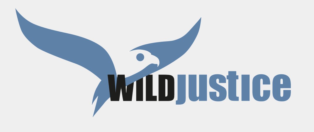 Yesterday @WildJustice_org won another legal battle for nature: DEFRA unlawfully issued gamebird licences near protected wildlife sites last year. Support Wild Justice's remarkable work at: givewheel.com/fundraising/25… Only TWO DAYS to go until the Regent's Canal walk!