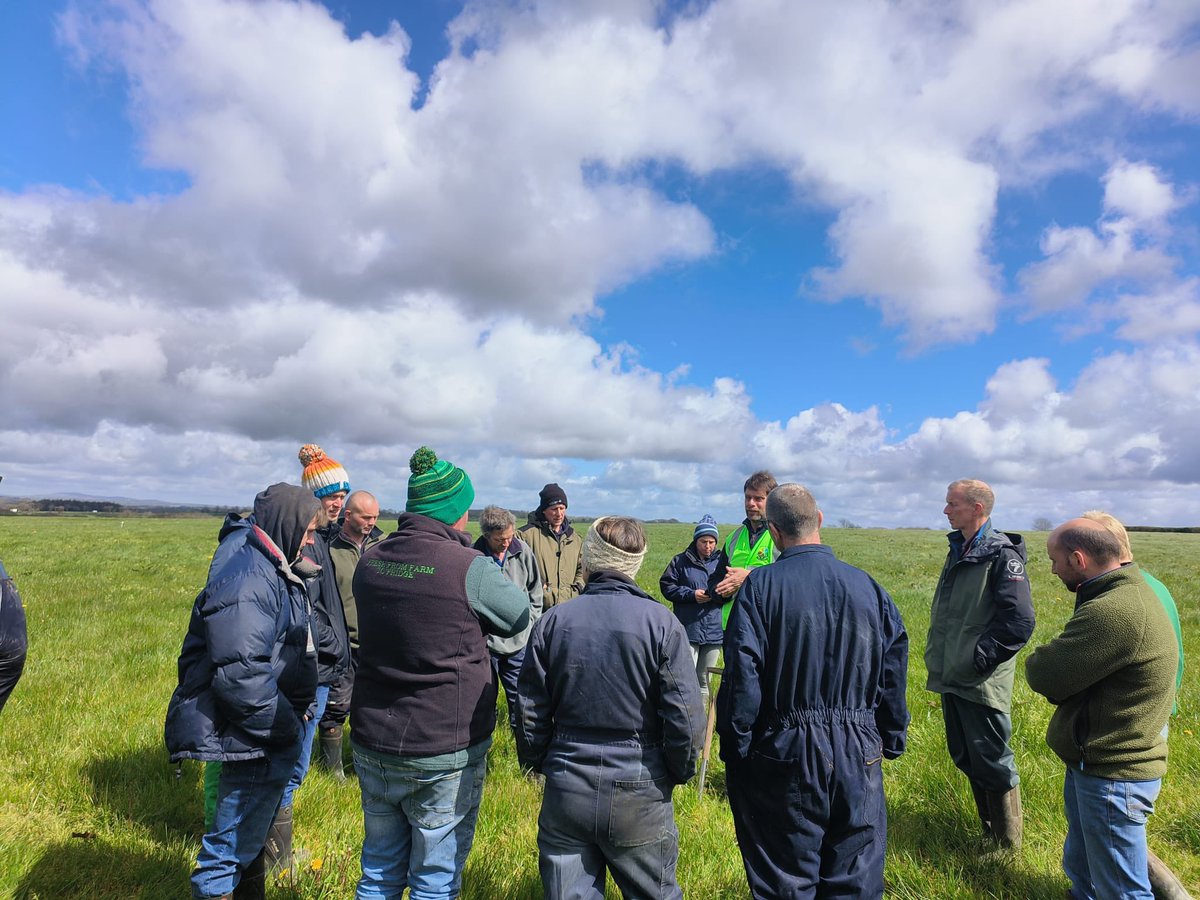 Di Clements tweet media