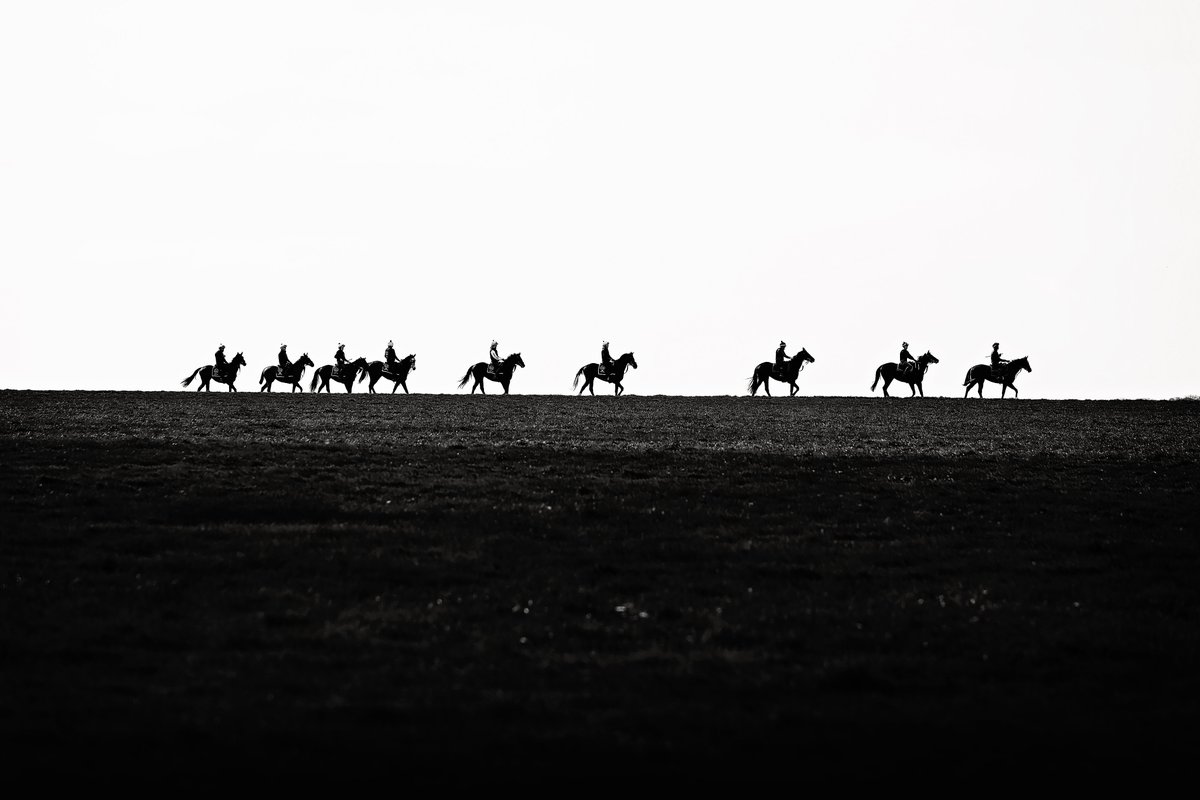 @james_fanshawe's string up on Newmarket Heath - taken for Equissage. @ksbequine