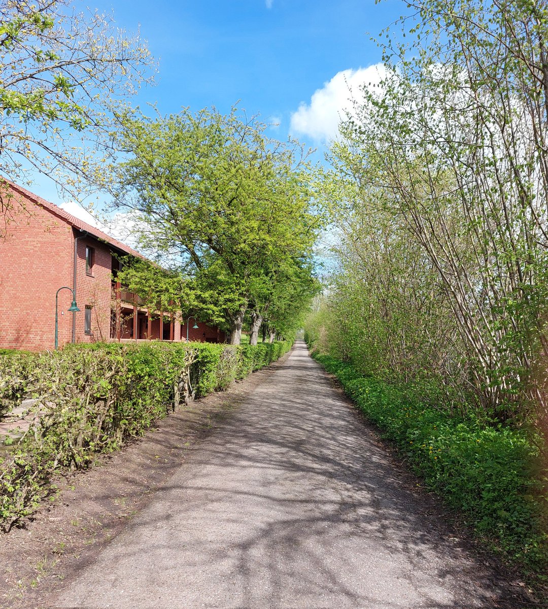 I live in this house and this road leads directly to the lake (about 300 meters)