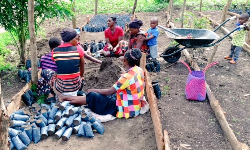 Our #IntergenerationalSolidarity themed project is flourishing! Witness the magic of agroforestry as we establish indigenous tree nursery beds & distribute seedlings for families to plant. Strengthening bonds for a healthier planet. #kids #ResistanceEarth #BlueEarth #wtpEarth