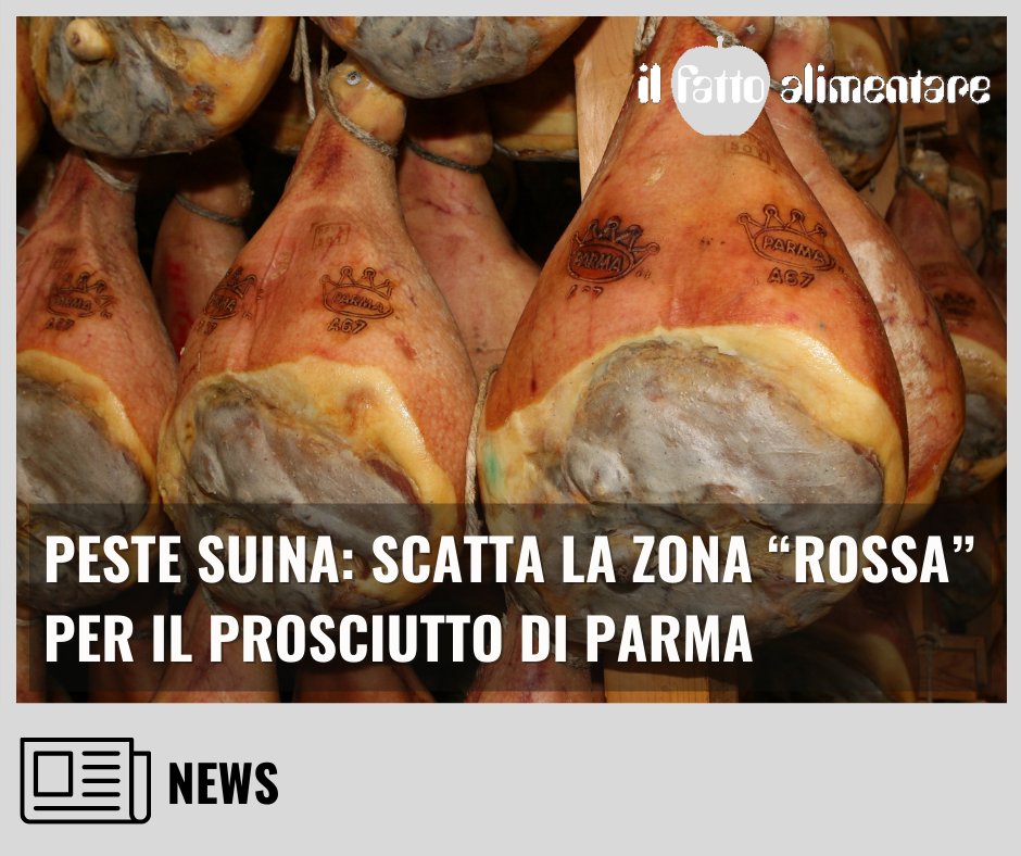 🐷Da domani scattano ufficialmente le prime restrizioni per la #pestesuina a Langhirano, centro di stagionatura del Prosciutto di Parma
Leggi qui 👇
ilfattoalimentare.it/peste-suina-la…