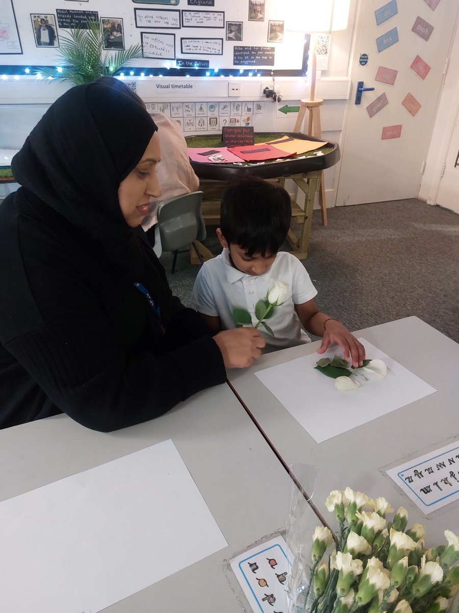 Davincis have been dissecting and labelling the different parts of a flower as our science topic this term is about plants.🪴 🌱 @AETAcademies @CNicholson_Edu @ClaireJones_HT @chrisdysonHT #dissecting #plants #leaves #science #KS1