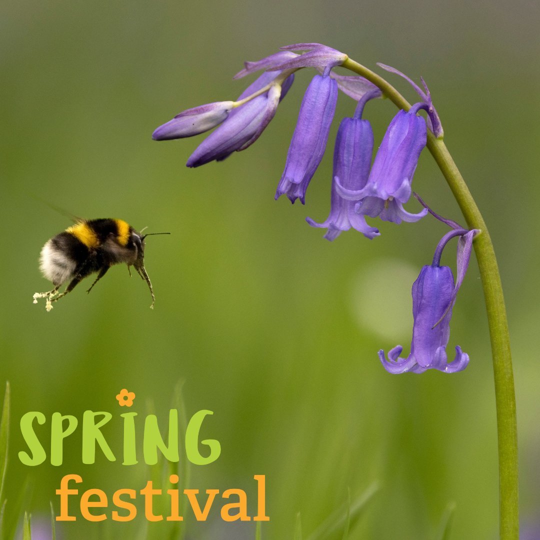 Have you had a look at our Spring Festival? From 30 May-12 April, we're hosting a set of events that celebrate the season. Join us for a birdsong workshop, or learn more about bees, gardens and ponds ⬇️ cumbriawildlifetrust.org.uk/spring-wildlif…