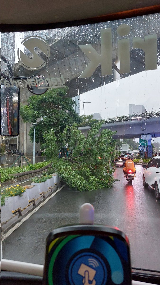 IchyFitri's tweet photo. Dear @TMCPoldaMetro @BPBDJakarta @PemdaDKIJakarta 

Ada pohon tumbang ini di pinggir jalan sudirman yg sebelum belokan ke arah jl. Prof. Dr. Satrio https://t.co/pZrRHW1SWy