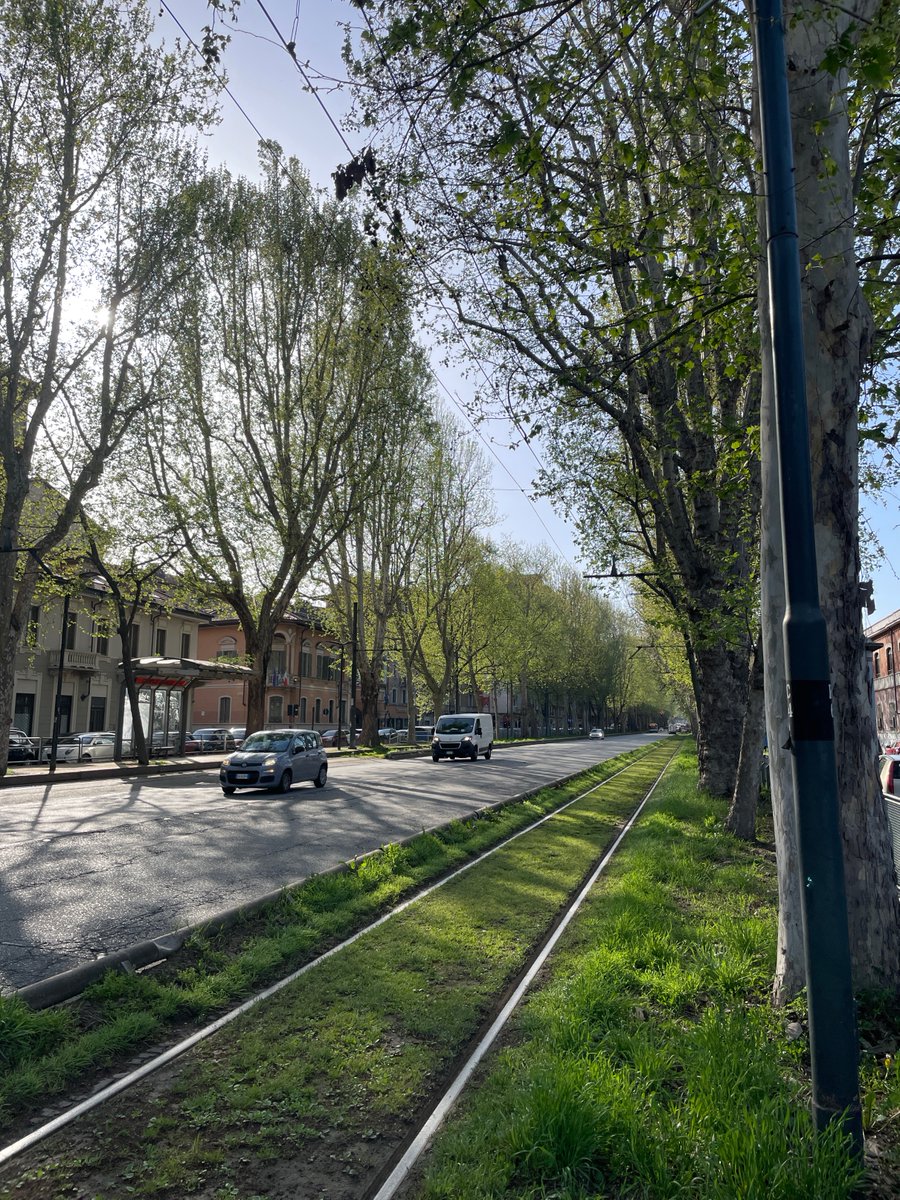 rickyalba26's tweet photo. First 2 weeks of my #postdoc were quite busy between new #fieldseason in #urbanparks and tree-lined avenues (we also found a rare #CollaredFlycatcher!), #nestbox monitoring and writing! Enjoying spring and #urbanecology so far! #birds #AcademicTwitter #ornithology https://t.co/oMgIKv94Wd