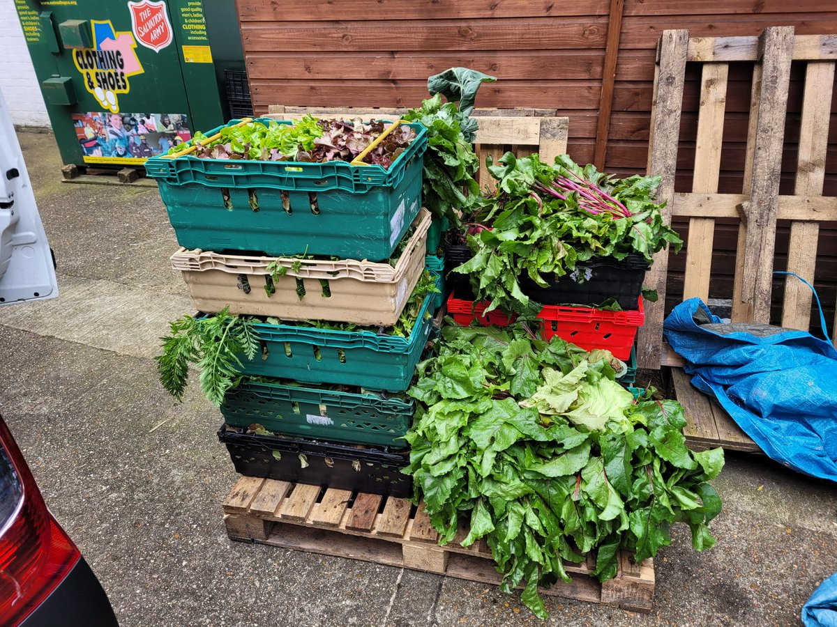 🌱Fresh from HMP Send's Clink Garden polytunnels, our latest veg delivery has arrived! This morning, this wonderful fresh produce made its way to Brixton, ready to be served as part of our Spring menu 🍽️ #FromGardensToPlate #TheClink #FreshVeggies #RestaurantIngredients