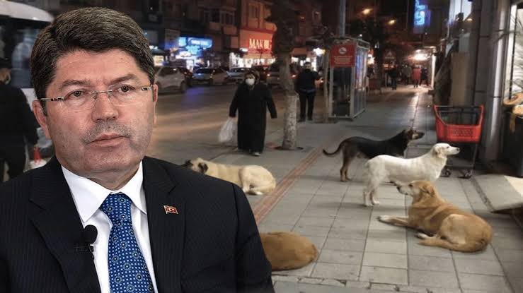 Adalet Bakanı Yılmaz Tunç:

Başıboş köpek sorunu ile ilgili hem hayvanlarımızı koruyacak hem de insan sağlığını tehdit etmeyecek bir düzenlemeyi yapmak gerekiyor. 

Burada belediyelerimize, kamu kurumlarına düşen görevler var. Bu görevleri kanunda belirlemek ve ona göre hareket…