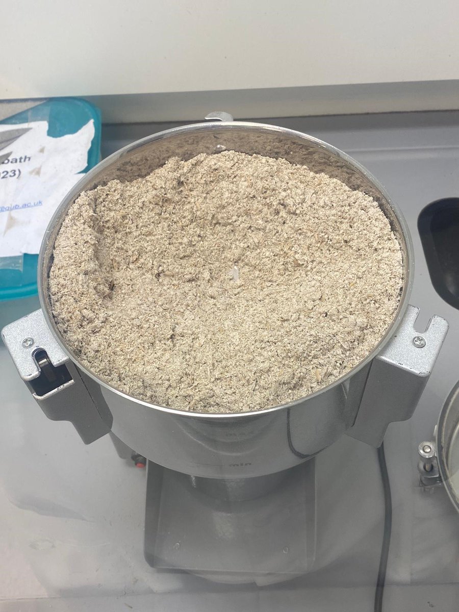 It's milling time for the @MycotoxI project! @Naoisemckenna00 is busy milling the oats from the 2023 field trials. These samples will be tested for 30+ mycotoxins at @QUBelfast @QUBbioscience One sample down, over one hundred to go