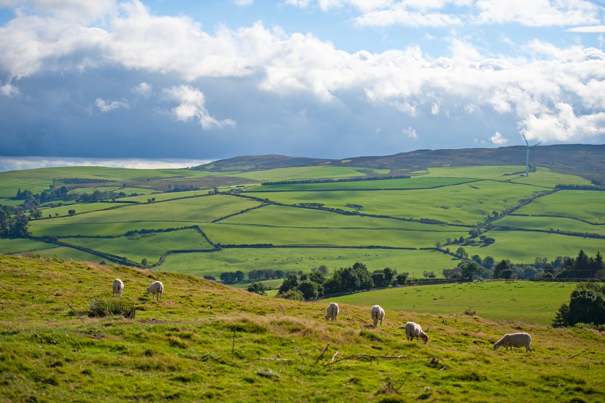 The recently announced independent review of farm assurance is an opportunity for the industry to have a say on the future of farm assurance. We have compiled a short survey to help develop and inform NFU Cymru’s response to the review. ➡️ow.ly/EfqO50RhWi1