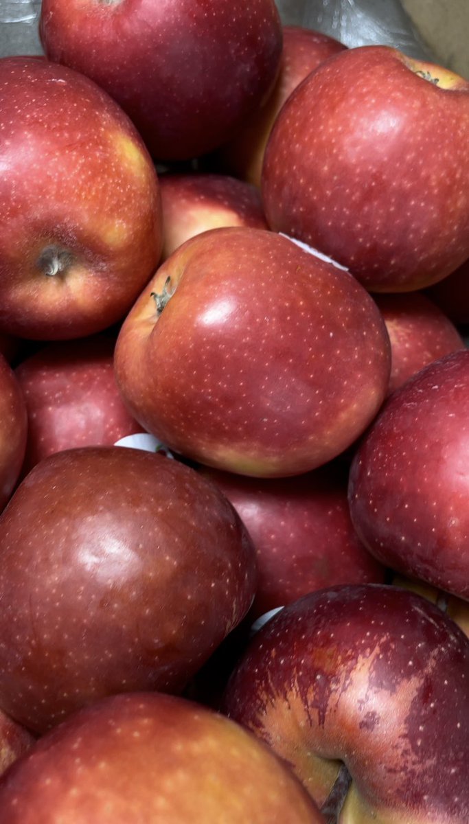 Which do you prefer ? 

Green Apple or Red Apple 

#freshfood #farmtotable #freshapple