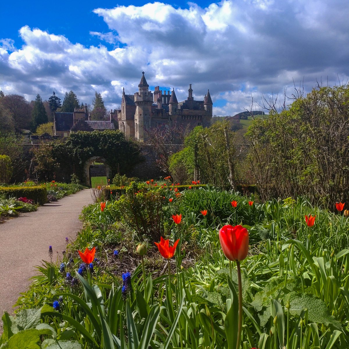 Tulips are in full bloom at Abbotsford! 🌷✨
Stay at our 5-star luxury accommodation and enjoy the stunning views from the Regency-era walled gardens. Guests get exclusive after-hour access during their stay!

Book your stay at Abbotsford: stay.scottsabbotsford.com/booking-availa…
