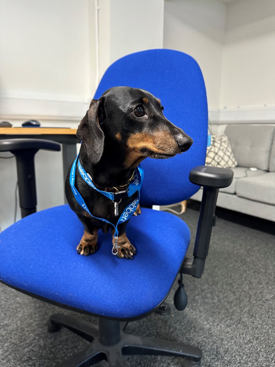 We had a flying visit from our Chief Happiness Officer today - thanks for stopping by, Dexter! 

#GEPEnv #OfficeDog