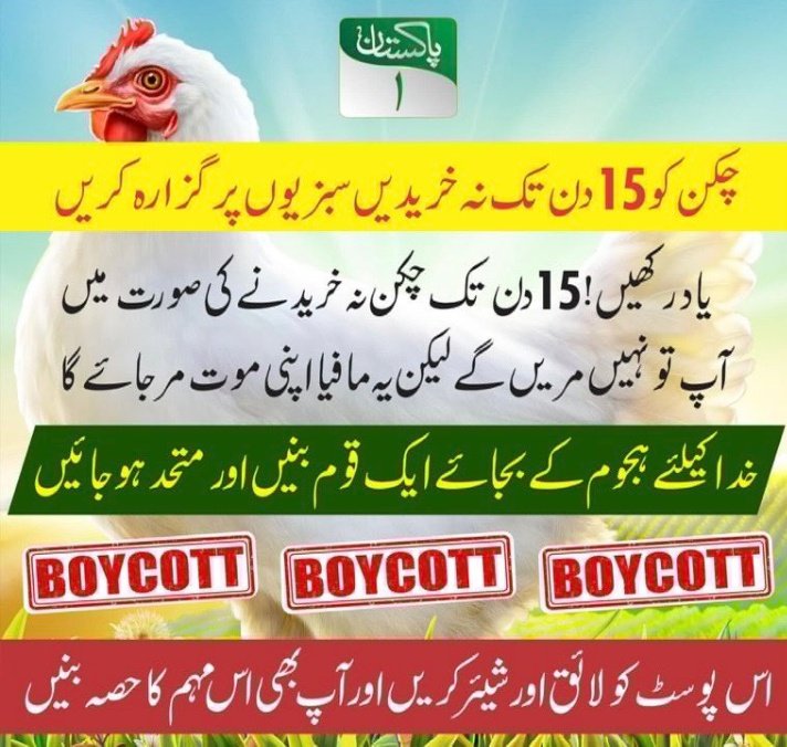 پاکستان میں بائیکاٹ چکن مہم کا باقاعدہ آغاز !!!

#pakistan1 #chicken #chickenprice #farming #pakistantv #boycott #chickenboycott #chicks #chickenfarming
