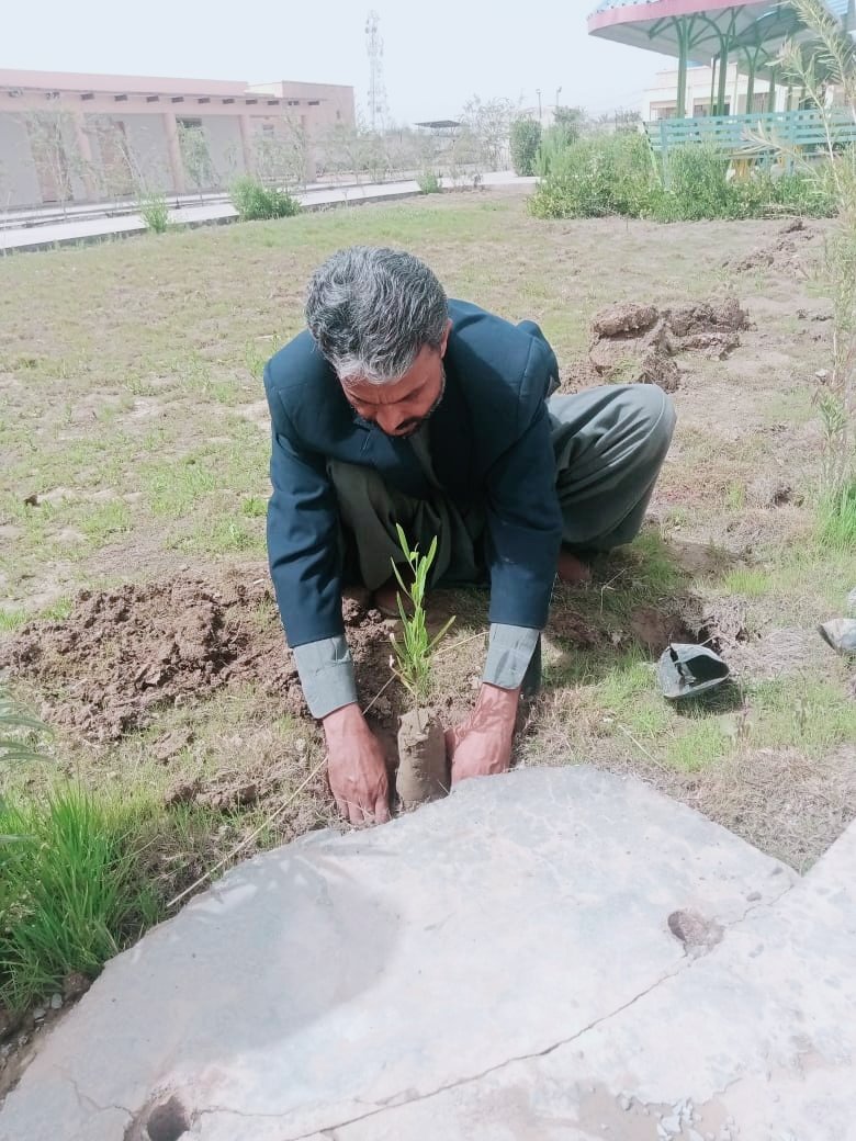 Save trees so that your future generations can see greenery, Plants are the heart of the Earth, Save them to save the planet, Protect your Earth, Protect the Greenery ☘️🌵☘️21 March, Plantation Day In University, of Balochistan Sub Campus kharan