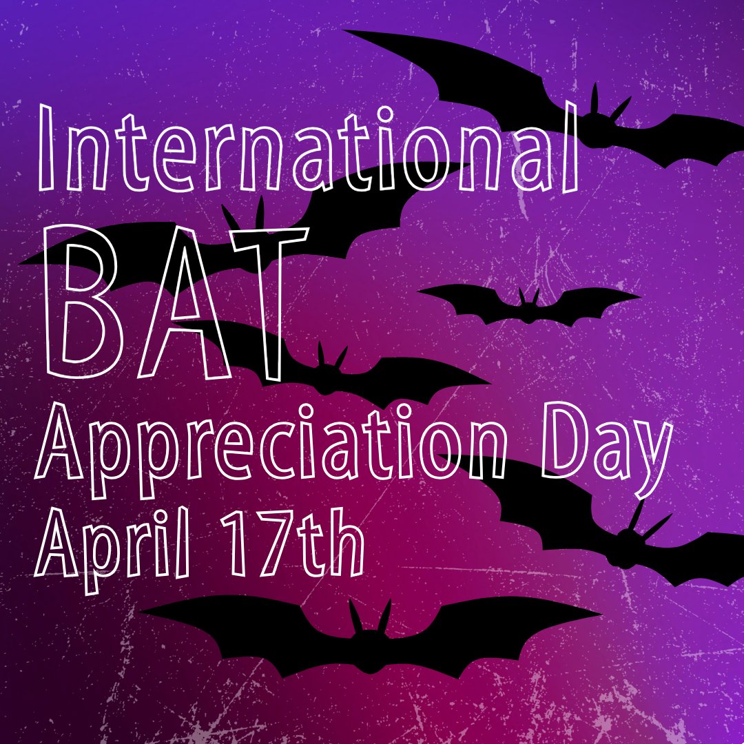 Happy #InternationalBatAppreciationDay! 🦇