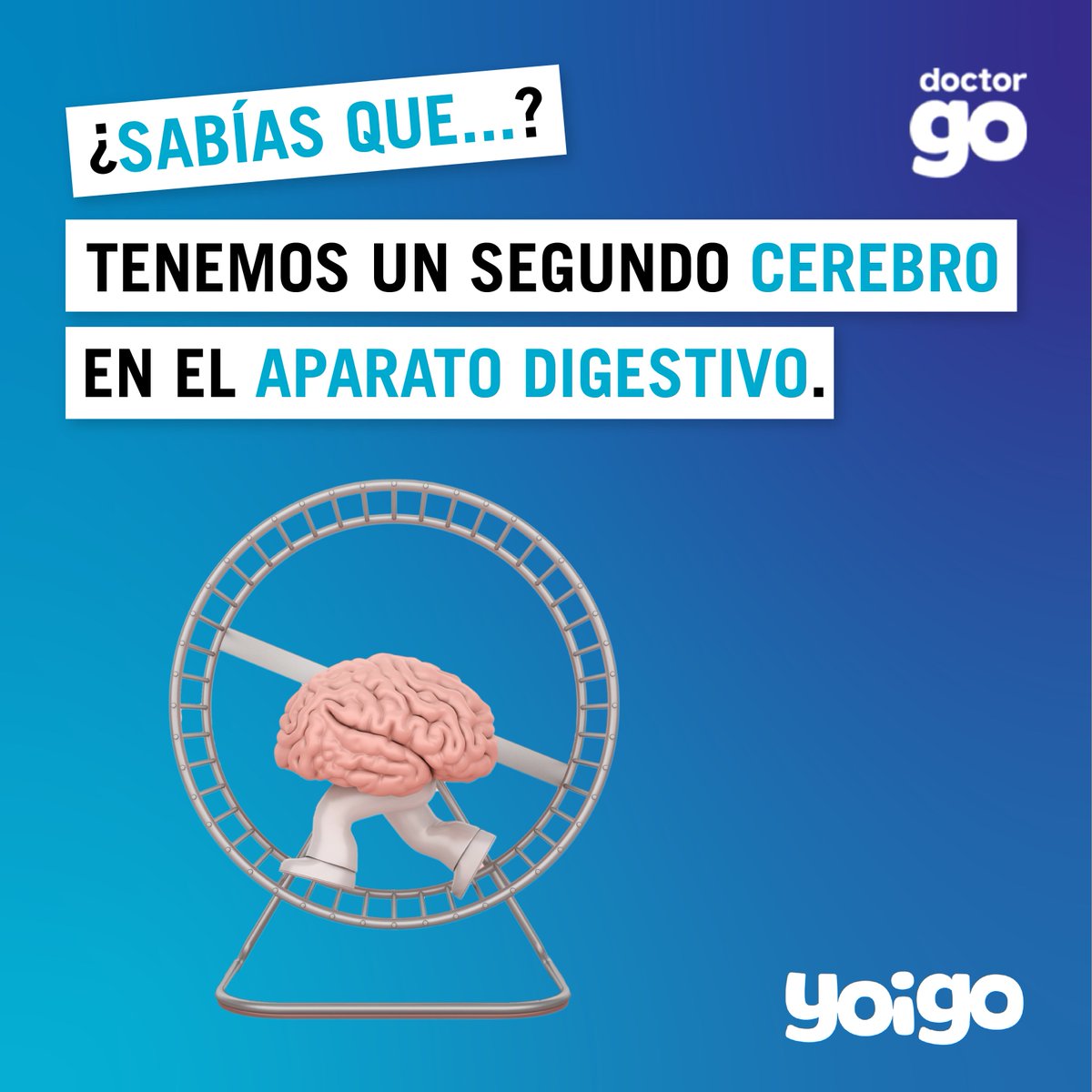 DoctorGo_'s tweet photo. Se llama SNE y aparte de pedirnos comida, también tienen una fuerte conexión con nuestras emociones. 😋 https://t.co/FfVNUxFlbs
