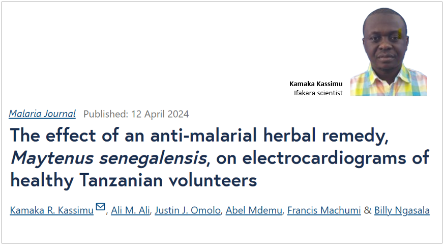 CONFIRMED: Herbal remedy that’s safe alternative malaria treatment 🌿 A new study led by @Ifakarahealth scientists, with contributions from @muhimbiliuniver and @NIMR_Tanzania, confirms the safety and efficacy of a traditional herbal remedy that offers an alternative for…